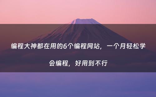 编程大神都在用的6个编程网站，一个月轻松学会编程，好用到不行
