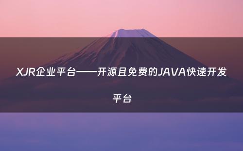XJR企业平台——开源且免费的JAVA快速开发平台