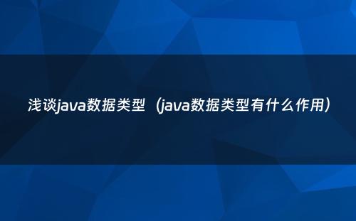 浅谈java数据类型（java数据类型有什么作用）