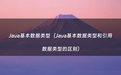 Java基本数据类型（Java基本数据类型和引用数据类型的区别）