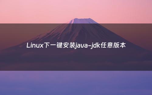 Linux下一键安装java-jdk任意版本