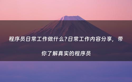 程序员日常工作做什么?日常工作内容分享，带你了解真实的程序员
