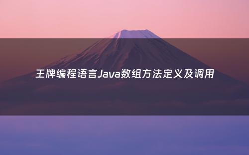 王牌编程语言Java数组方法定义及调用