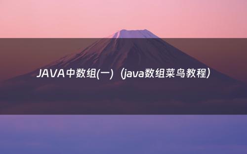 JAVA中数组(一)（java数组菜鸟教程）