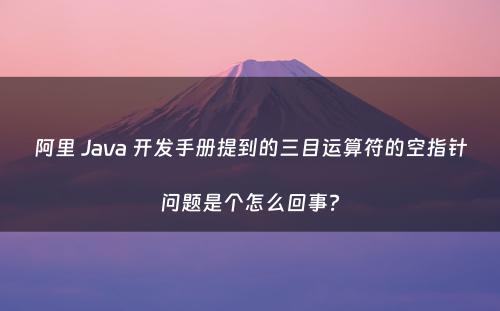 阿里 Java 开发手册提到的三目运算符的空指针问题是个怎么回事?
