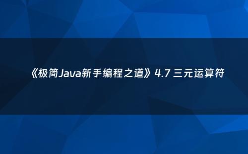 《极简Java新手编程之道》4.7 三元运算符