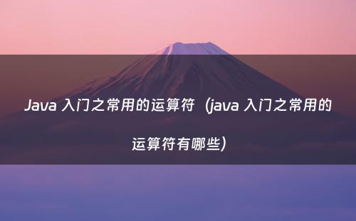 Java 入门之常用的运算符（java 入门之常用的运算符有哪些）