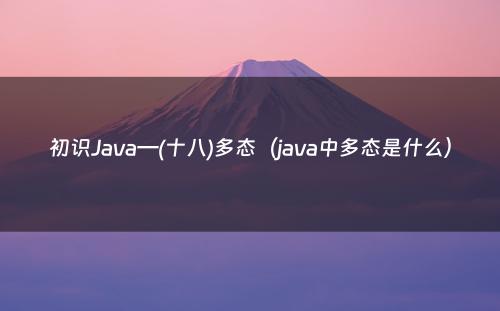 初识Java—(十八)多态（java中多态是什么）
