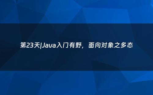 第23天|Java入门有野，面向对象之多态