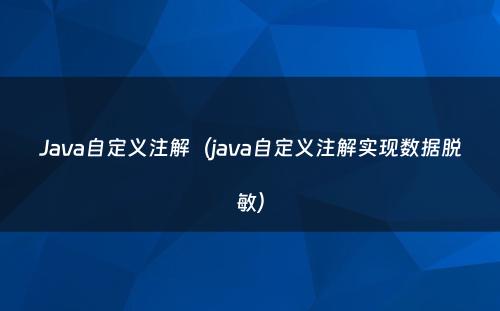Java自定义注解（java自定义注解实现数据脱敏）