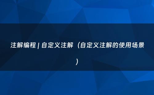 注解编程 | 自定义注解（自定义注解的使用场景）