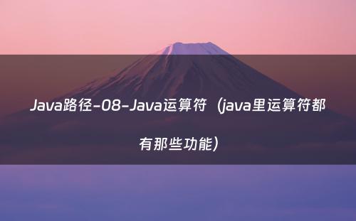 Java路径-08-Java运算符（java里运算符都有那些功能）