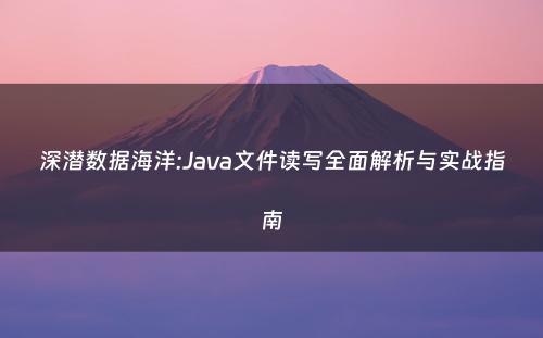 深潜数据海洋:Java文件读写全面解析与实战指南