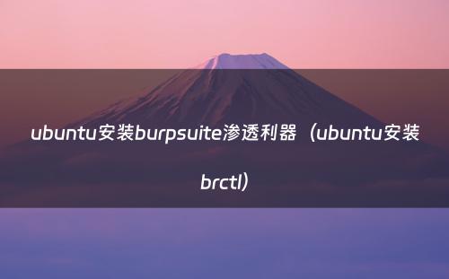 ubuntu安装burpsuite渗透利器（ubuntu安装brctl）