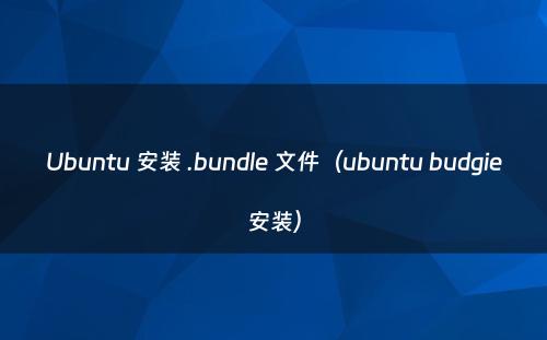 Ubuntu 安装 .bundle 文件（ubuntu budgie安装）