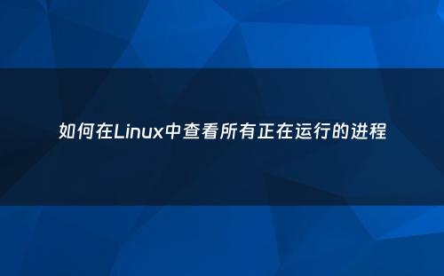 如何在Linux中查看所有正在运行的进程