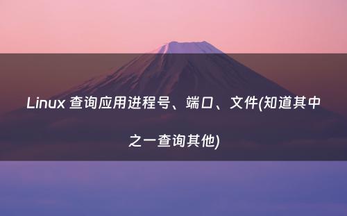 Linux 查询应用进程号、端口、文件(知道其中之一查询其他)
