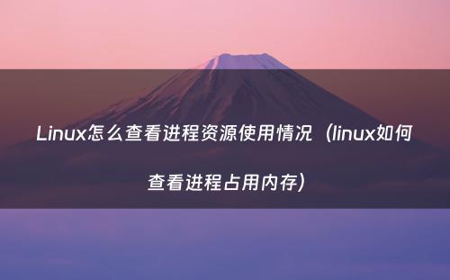 Linux怎么查看进程资源使用情况（linux如何查看进程占用内存）
