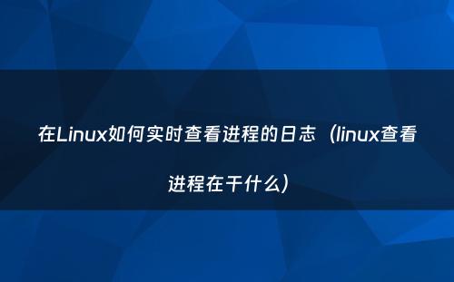 在Linux如何实时查看进程的日志（linux查看进程在干什么）