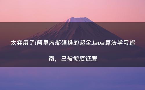 太实用了!阿里内部强推的超全Java算法学习指南，已被彻底征服
