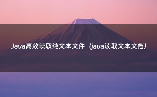Java高效读取纯文本文件（java读取文本文档）