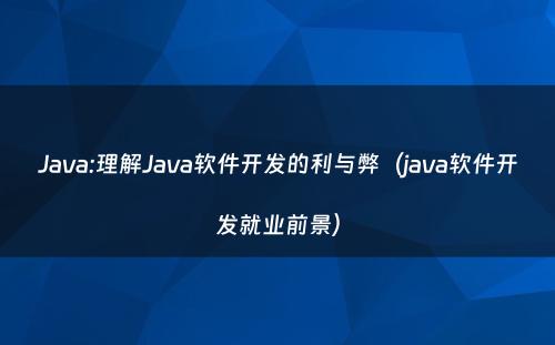 Java:理解Java软件开发的利与弊（java软件开发就业前景）
