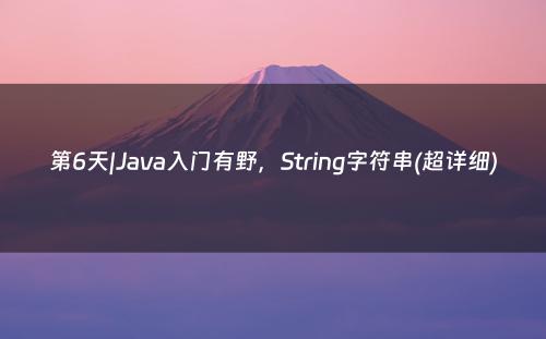 第6天|Java入门有野，String字符串(超详细)