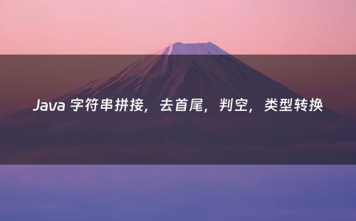 Java 字符串拼接，去首尾，判空，类型转换