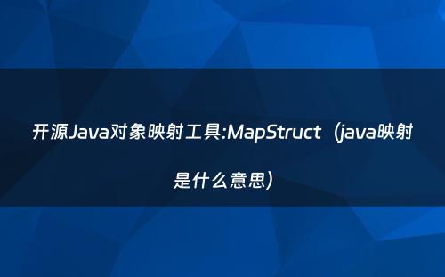 开源Java对象映射工具:MapStruct（java映射是什么意思）