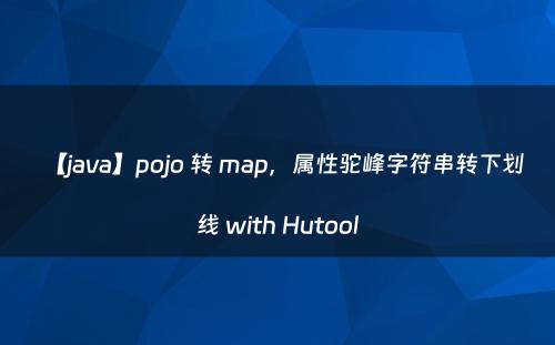 【java】pojo 转 map，属性驼峰字符串转下划线 with Hutool