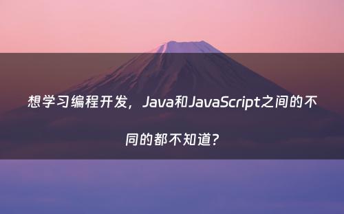想学习编程开发，Java和JavaScript之间的不同的都不知道?