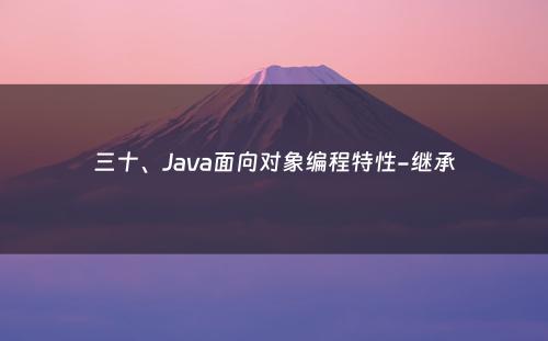 三十、Java面向对象编程特性-继承