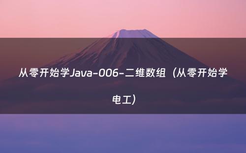 从零开始学Java-006-二维数组（从零开始学电工）