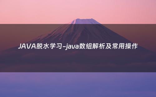 JAVA脱水学习-java数组解析及常用操作