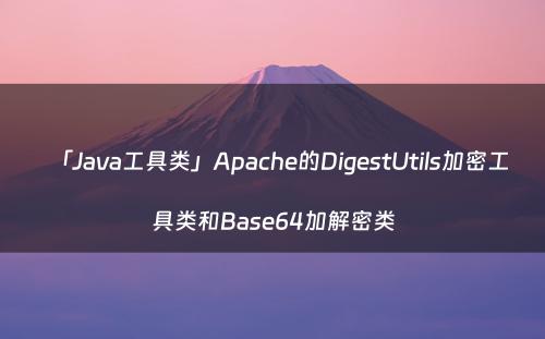 「Java工具类」Apache的DigestUtils加密工具类和Base64加解密类