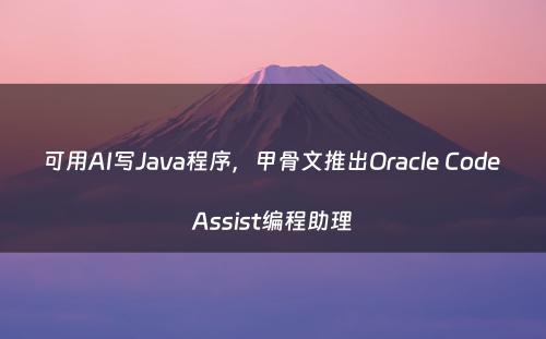 可用AI写Java程序，甲骨文推出Oracle Code Assist编程助理
