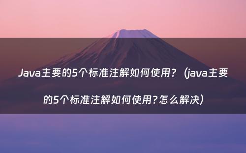 Java主要的5个标准注解如何使用?（java主要的5个标准注解如何使用?怎么解决）