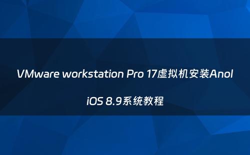 VMware workstation Pro 17虚拟机安装AnoliOS 8.9系统教程