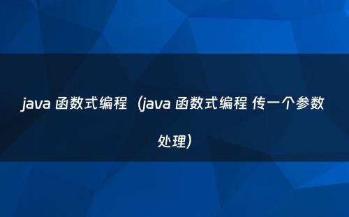 java 函数式编程（java 函数式编程 传一个参数处理）