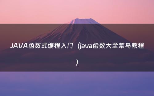 JAVA函数式编程入门（java函数大全菜鸟教程）
