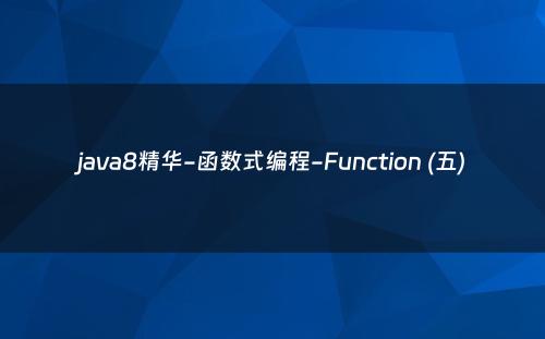 java8精华-函数式编程-Function (五)