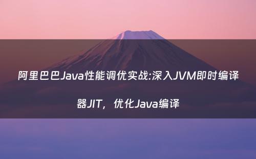 阿里巴巴Java性能调优实战:深入JVM即时编译器JIT，优化Java编译