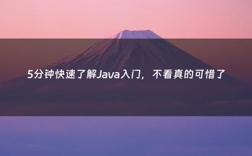 5分钟快速了解Java入门，不看真的可惜了