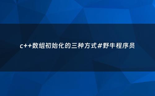c++数组初始化的三种方式#野牛程序员