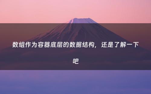 数组作为容器底层的数据结构，还是了解一下吧