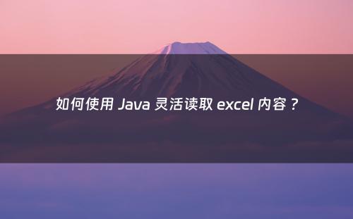 如何使用 Java 灵活读取 excel 内容 ?