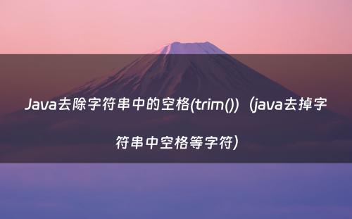 Java去除字符串中的空格(trim())（java去掉字符串中空格等字符）