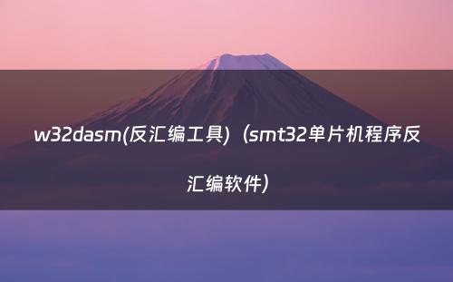 w32dasm(反汇编工具)（smt32单片机程序反汇编软件）