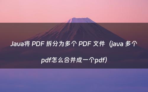 Java将 PDF 拆分为多个 PDF 文件（java 多个pdf怎么合并成一个pdf）