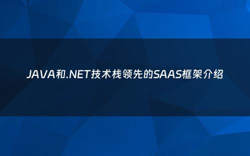 JAVA和.NET技术栈领先的SAAS框架介绍